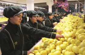 Lemon Packaging and Lemon selection Mersin Turkey